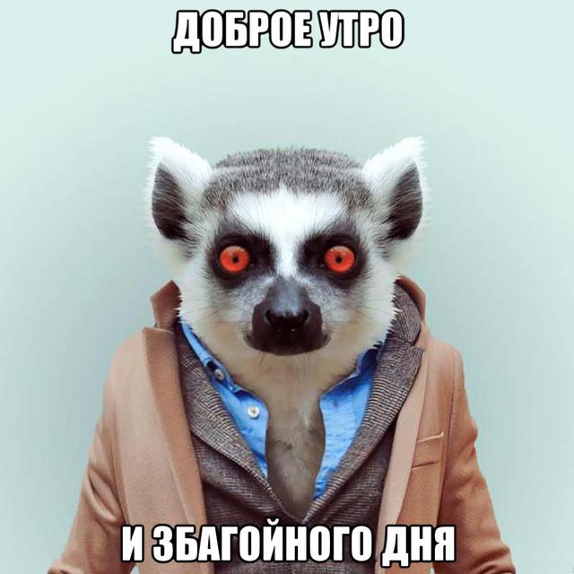 утро доброе прикол фото онлайн утро доброе прикол фото