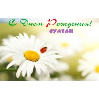 Яркие и красочные именные открытки с поздравлениями для Султана 