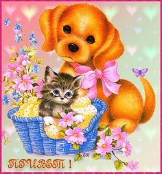 Яркие и красивые открытки с приветствием на каждый  день          