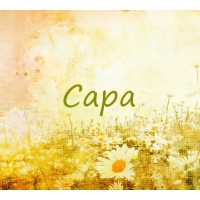 Именные открытки  с поздравлениями и пожеланиями для Сары    