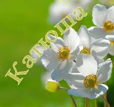 Именные открытки с теплыми пожеланиями и поздравлениями для Катя