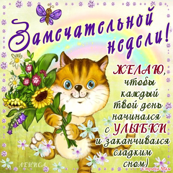 Яркие открытки с пожеланиями удачной и продуктивной недели    