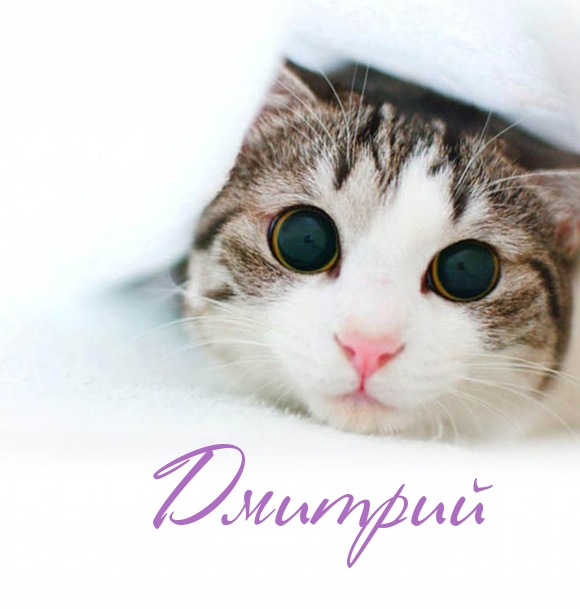 Именные открытки с поздравлениями и пожеланиями для Дмитрия 