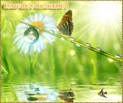 Яркие и красивые открытки с пожеланиями хорошего настроения 