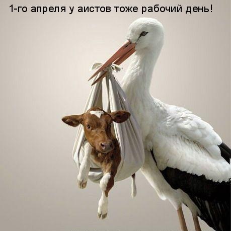 Приколы на День Дурака. Открытки с приколами на 1 апреля    