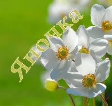 именные открытки с пожеланиями и поздравлениями для Яны          