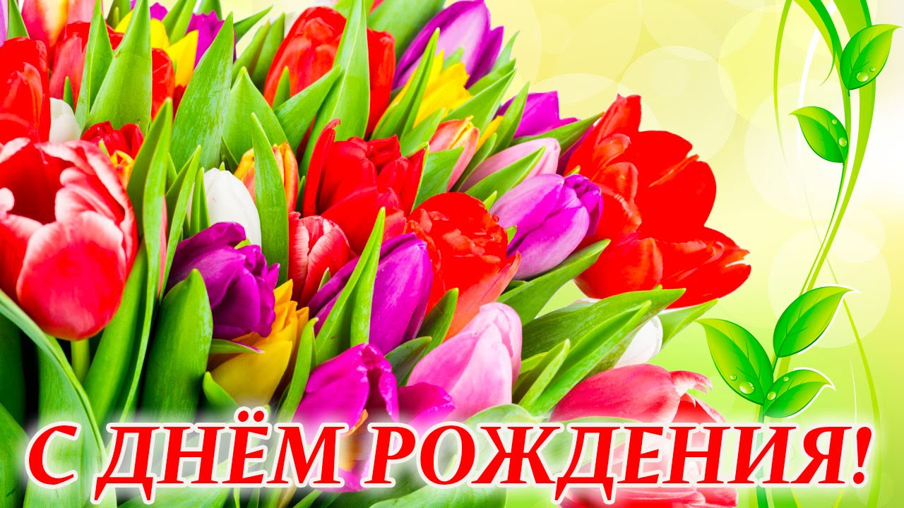 Красивые открытки с тюльпанами на день рождения              