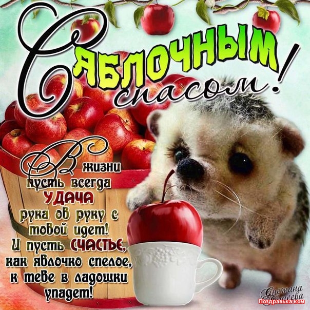 Яркие и красивые открыт на святой праздник яблочный спас    