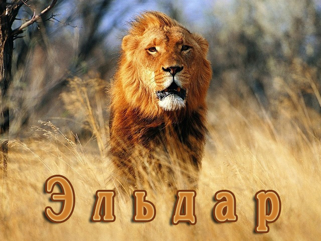 Яркие и красочные именные открытки для Эльдара              