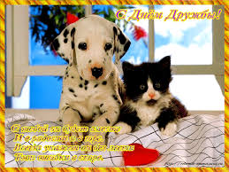 Яркие и красочные открытки на день друзей                    