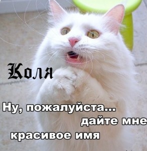 Яркие и красочные именные открытки для Николая                   