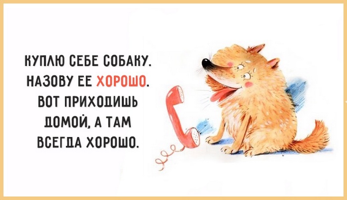 Смешные открытки на каждый день. Открытки с приколами на каждый день 