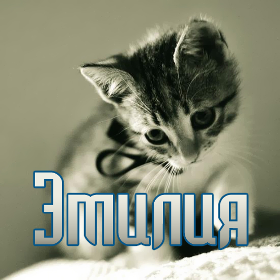 именные открытки с поздравлениями на праздники для Эмилии   