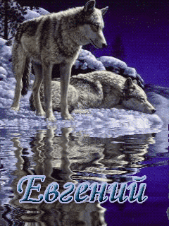 Именные открытки с поздравлениями и пожеланиями для Евгения 