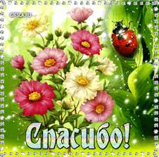 Милые открытки на каждый день с благодарностью. Спасибо большое 