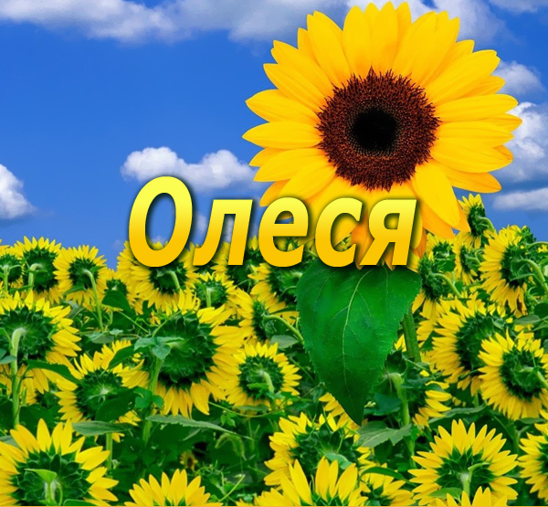 Именные открытки с поздравлениями и пожеланиями для Олеси    