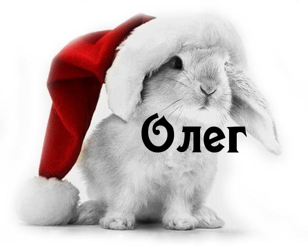 Красочные и яркие именные открытки для Олега                 