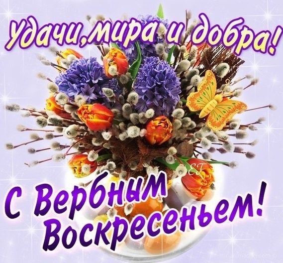 Красивые открытки с теплыми пожеланиями на вербное воскресенье 