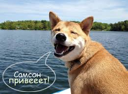 Яркие и красивые именные открытки на праздники для Самсона   