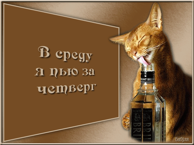 Яркие и веселые открытки с пожеланиями  замечательной среды   