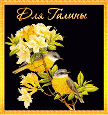 Красивые открытки с поздравлениями на разные праздники для Галины 