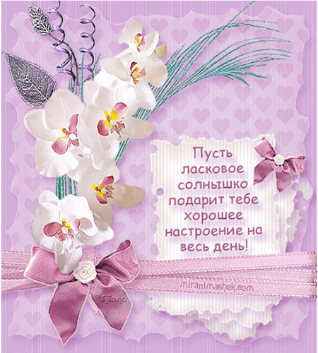 Яркие и красивые открытки с пожеланиями хорошего настроения 