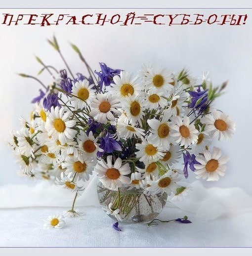 Яркие и красивые открытки с пожеланиями  отличной субботы   