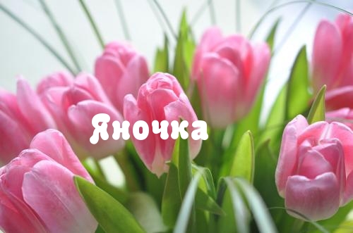именные открытки с пожеланиями и поздравлениями для Яны          
