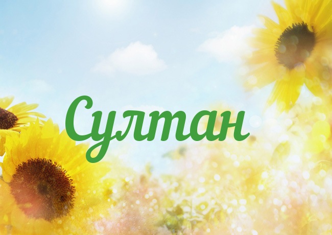 Яркие и красочные именные открытки с поздравлениями для Султана 