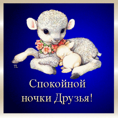 Красивые открытки с пожеланиями  спокойной  ночи. Спокойной ночи 