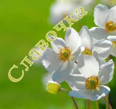 Именные открытки с поздравлениями и пожеланиями для Славы   