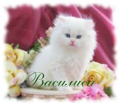 Открытки с поздравлениями и пожеланиями для Василисы        