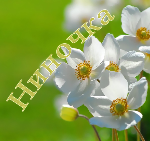 Именные открытки с поздравлениями и пожеланиями для Нины     