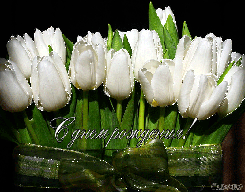Красивые открытки с тюльпанами на день рождения              