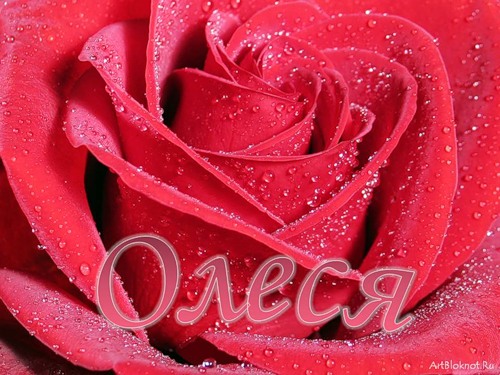 Именные открытки с поздравлениями и пожеланиями для Олеси    