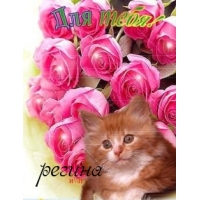 Именные открытки с поздравлениями и пожеланиями для Регины   