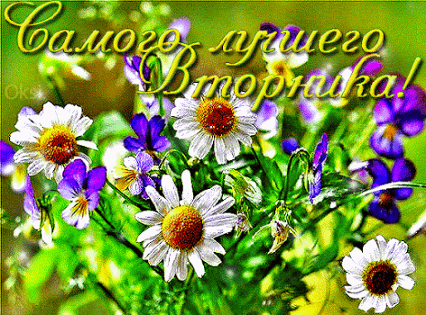 Яркие и веселые открытки с пожеланиями  замечательной среды   