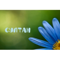Яркие и красочные именные открытки с поздравлениями для Султана 