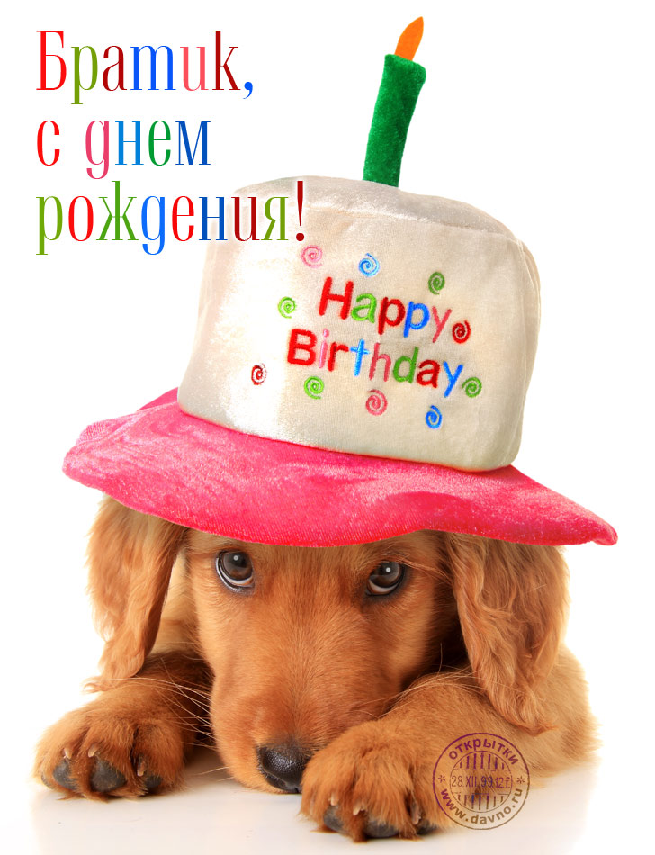 Открытки на день рождения любимого брата. С днем рождения, дорогой братик. 