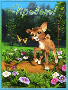 Яркие и красивые открытки с приветствием на каждый  день          