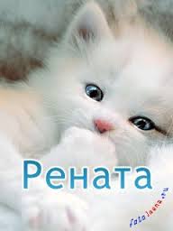 Именные открытки с поздравлениями и пожеланиями для Ренаты   