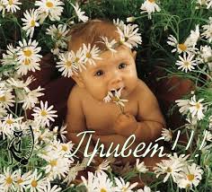 Яркие и красивые открытки с приветствием на каждый  день          