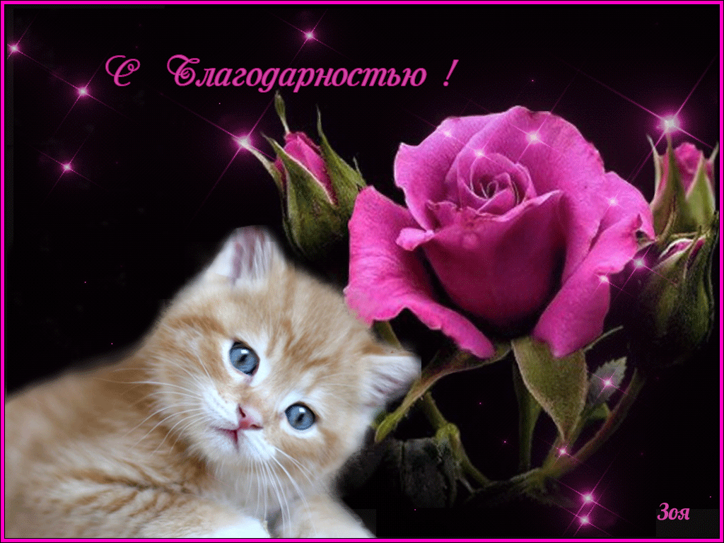 Милые открытки на каждый день с благодарностью. Спасибо большое 