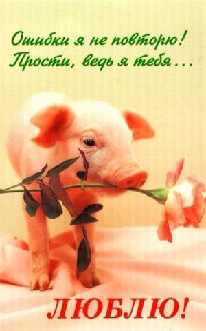 Милые открытки с извинениями на каждый день. Открытки с извинениями 