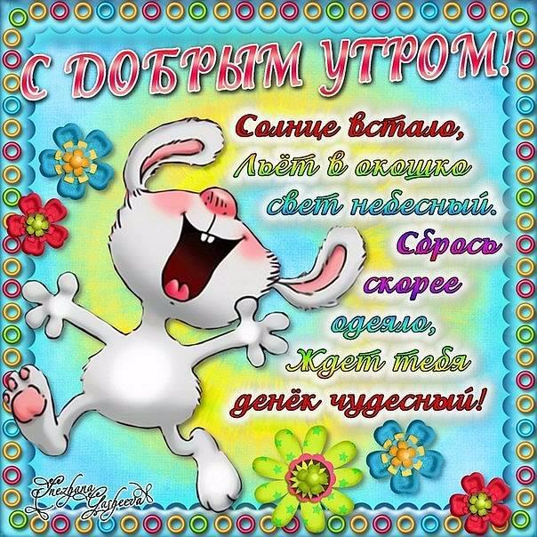 Открытки с приколами на каждое утро. Доброе утро с юмором   