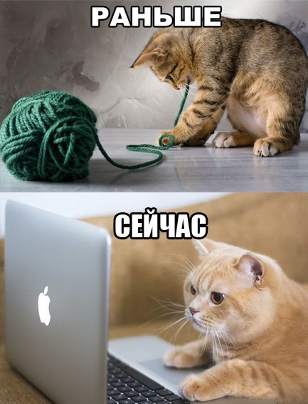 Прикольные остроумные открытки. открытки с веселыми приколами