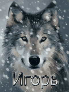 Красочные именные открытки на разные праздники для Игоря    