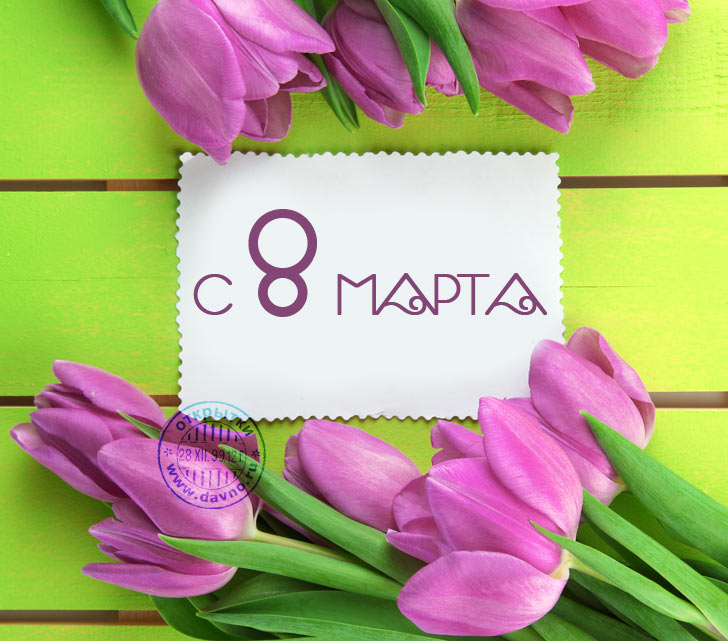 Красивые открытки с тюльпанами на 8 марта                    