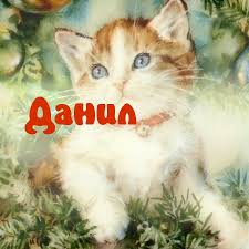 Именные открытки с поздравлениями и пожеланиями для Данила  