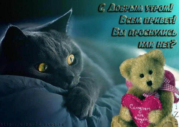 Открытки с приколами на каждое утро. Доброе утро с юмором   